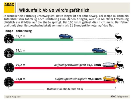 clanok_skoda_na_bezbrannych1