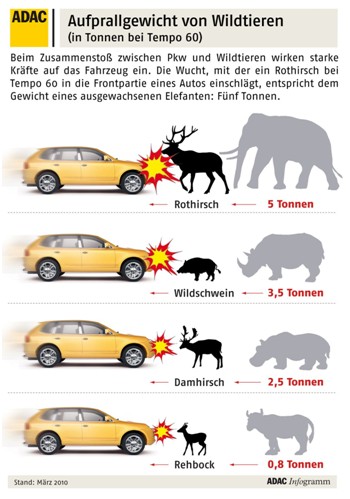 clanok_skoda_na_bezbrannych2