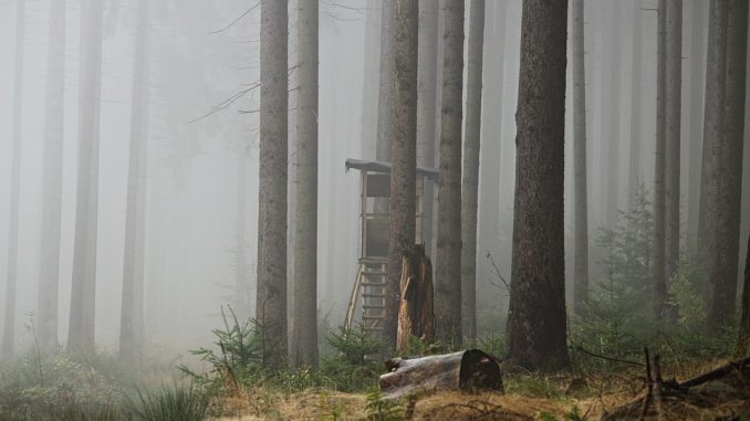 fog-1768674_960_720