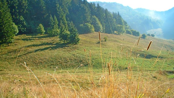 slovensky-raj